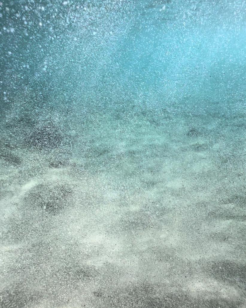 Perch� il mare di Ostia cambia trasparenza da un giorno all�altro